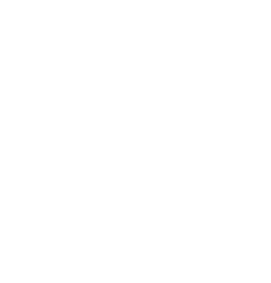 Lyon Publicidad