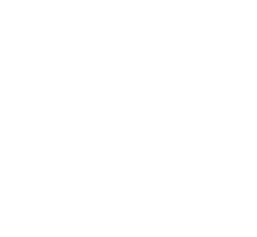 History